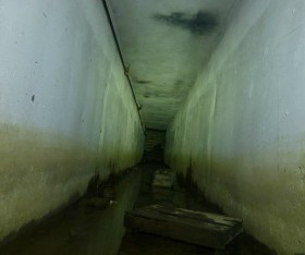 Убежище под областной больницей (Санкт-Петербург)